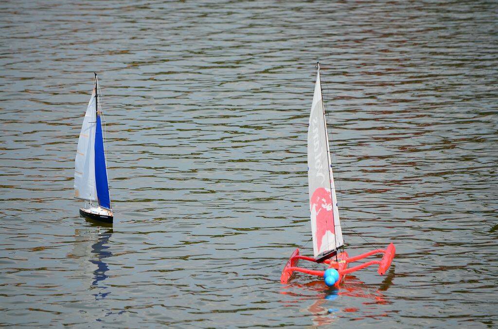 DSC_0557.jpg