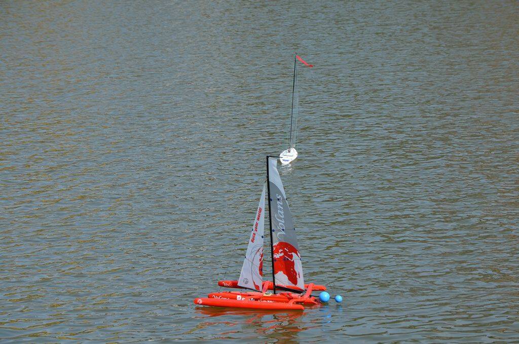 DSC_0564.jpg