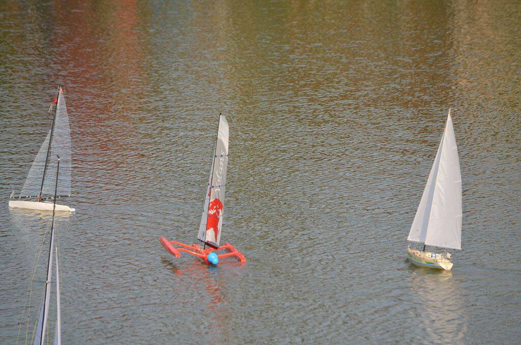 DSC_0577.jpg