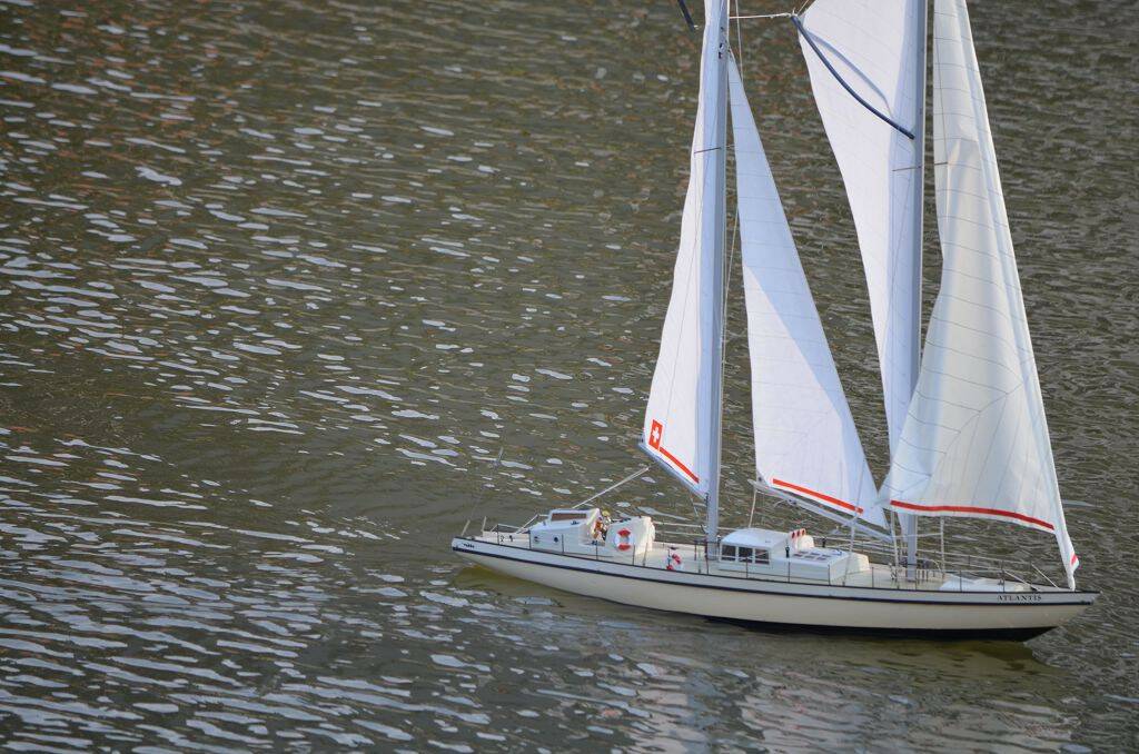 DSC_0595.jpg