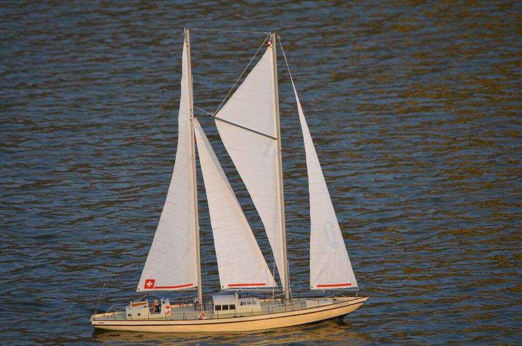 DSC_0650.jpg