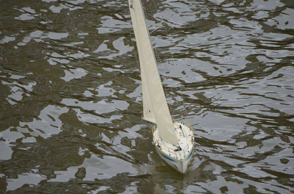 DSC_0501.jpg