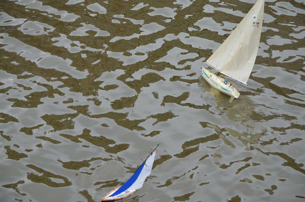 DSC_0504.jpg