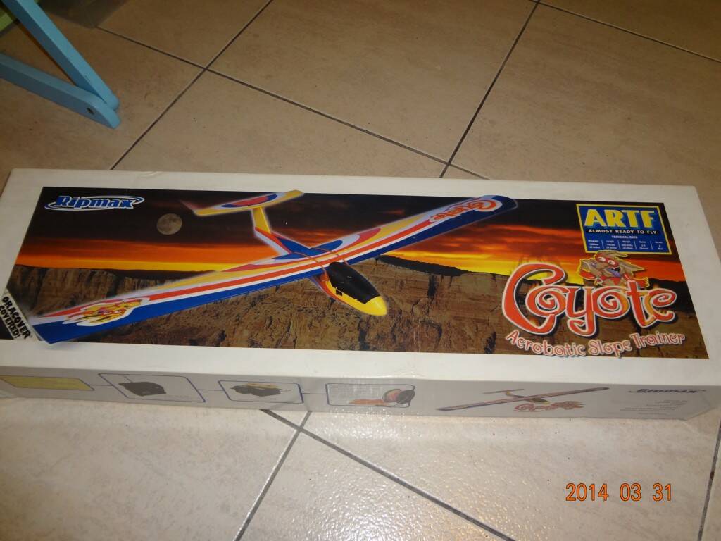 DSC01285.jpg