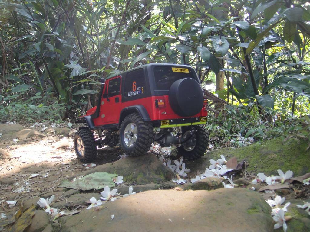 DSC04214.JPG