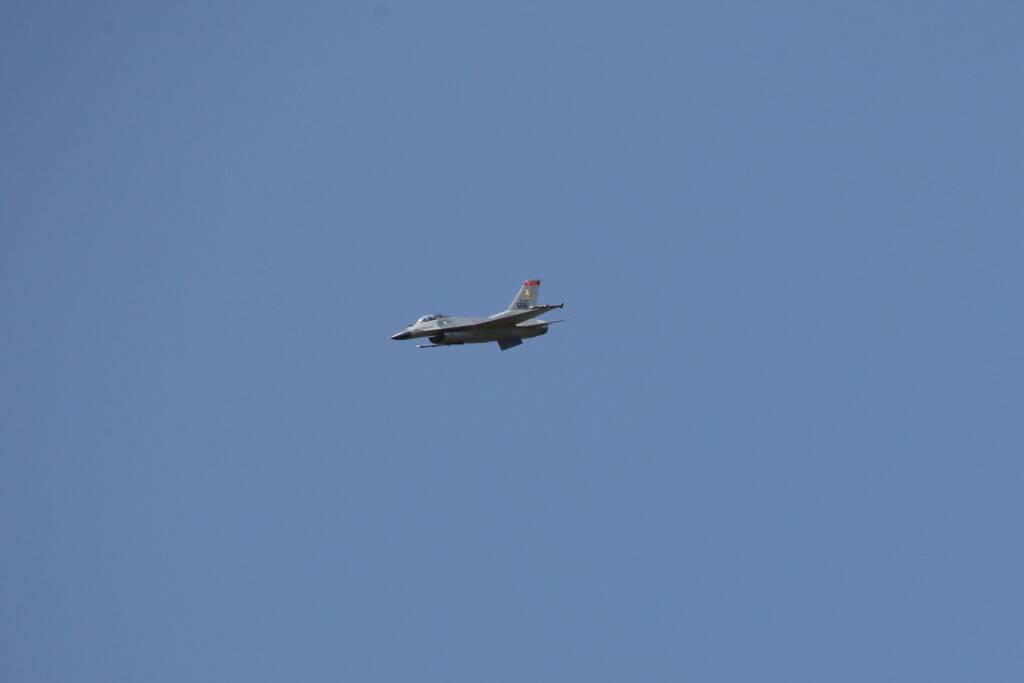 IMG_6339.jpg