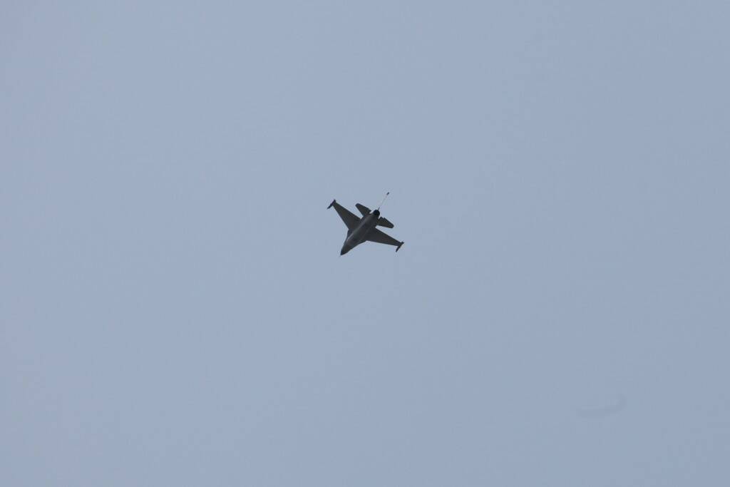 IMG_6378.jpg