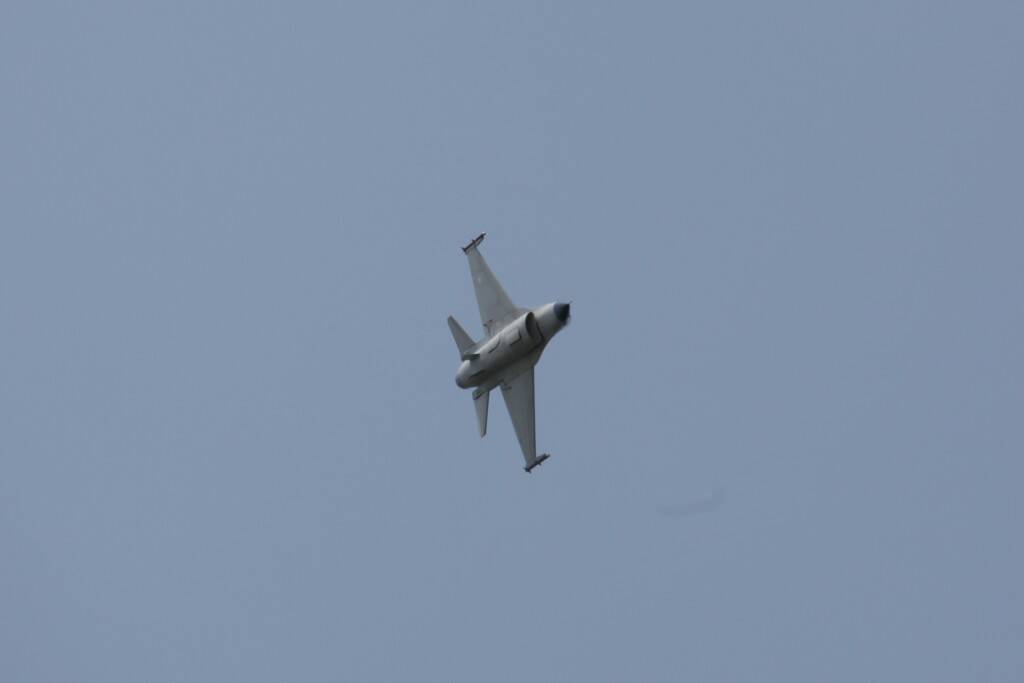 IMG_6395.jpg