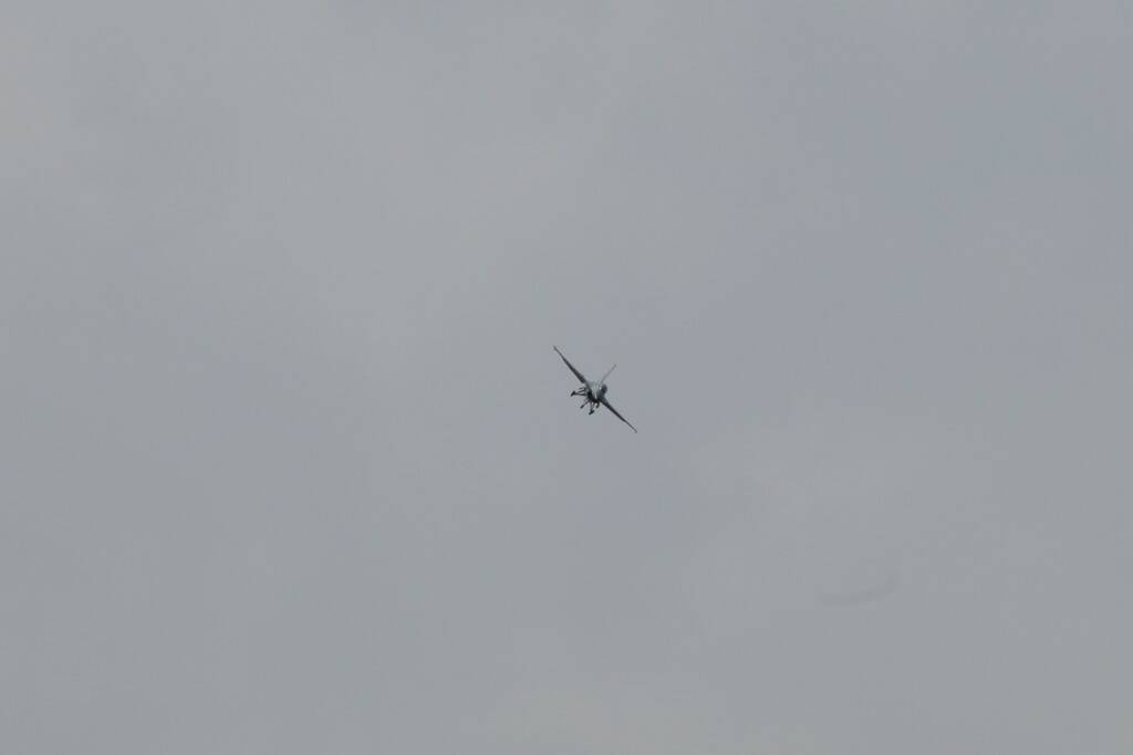 IMG_6463.jpg