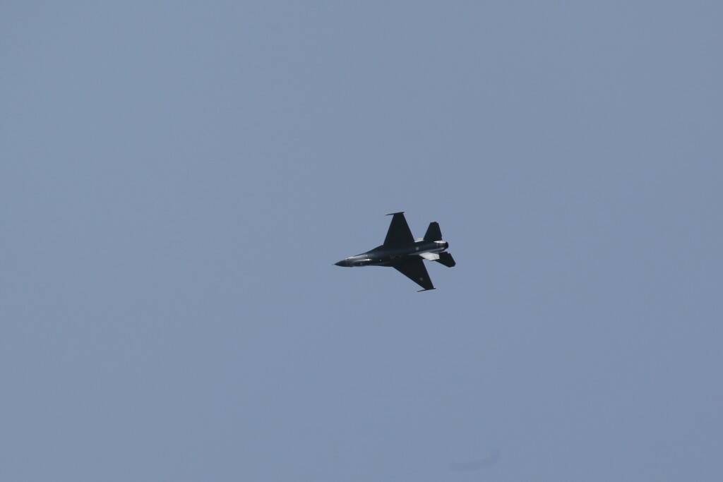 IMG_6557.jpg