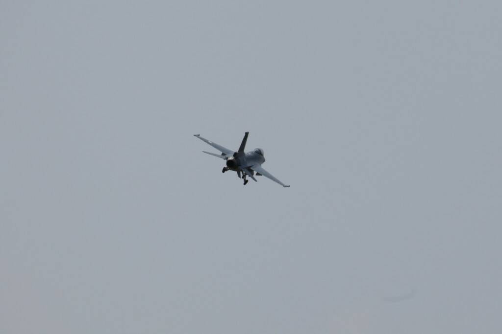 IMG_6571.jpg