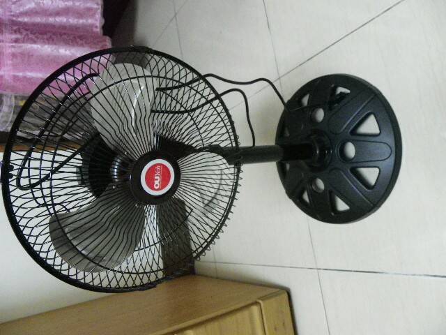 IMGP3046.JPG