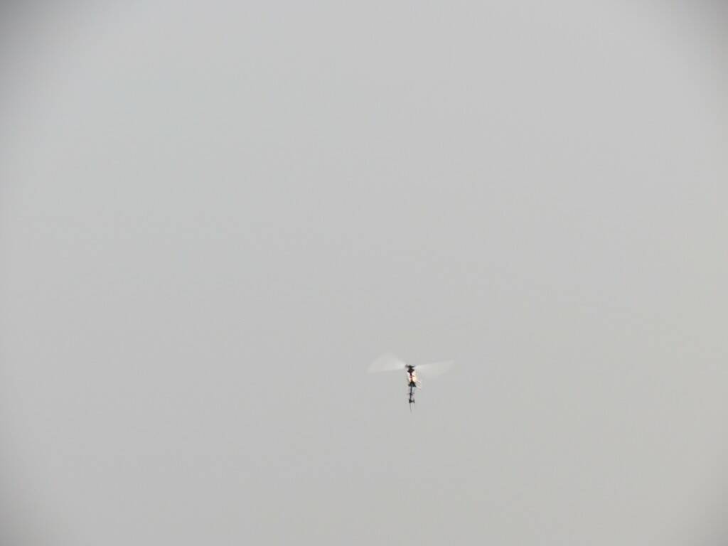 IMG_1601.JPG