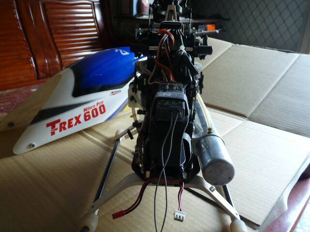 P1050851.JPG
