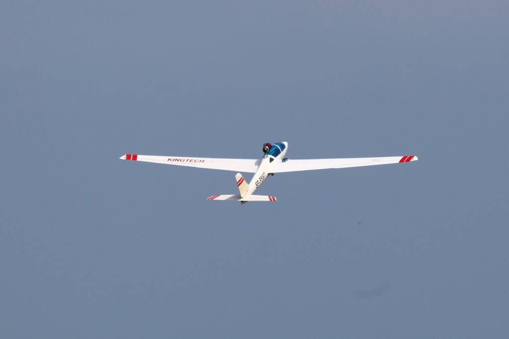 IMG_7084.jpg