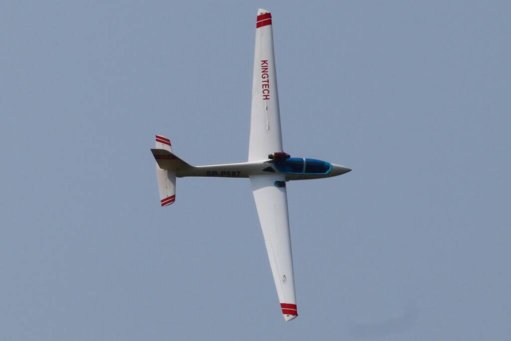 IMG_7137.jpg