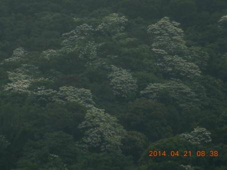 DSCN9561 200002.JPG