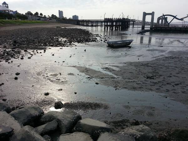 20140427_160428_調整大小.jpg