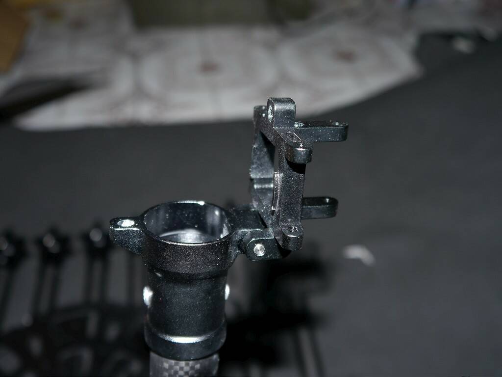 P1030444-1024.jpg