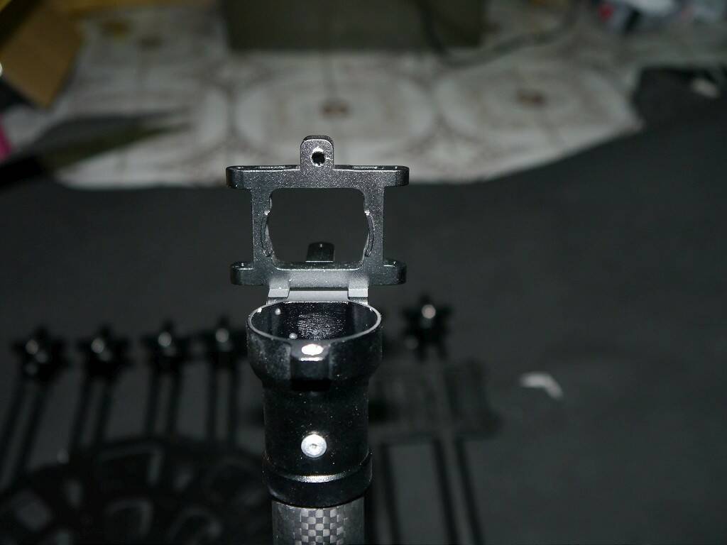 P1030445-1024.jpg