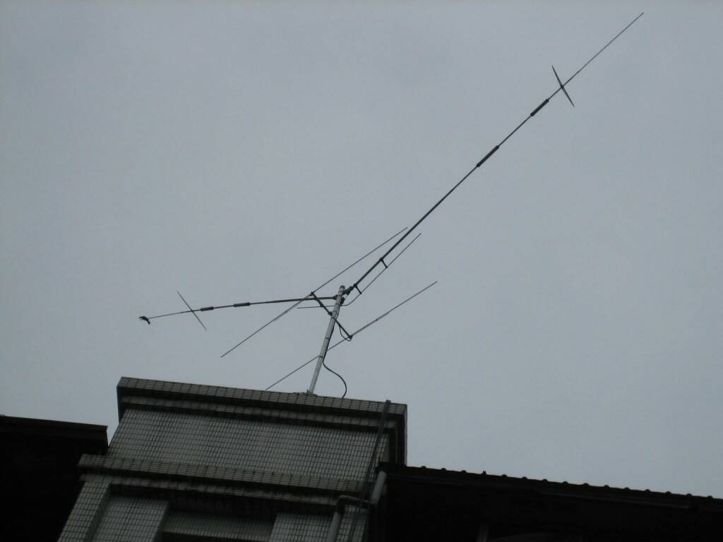 IMG_9135.JPG