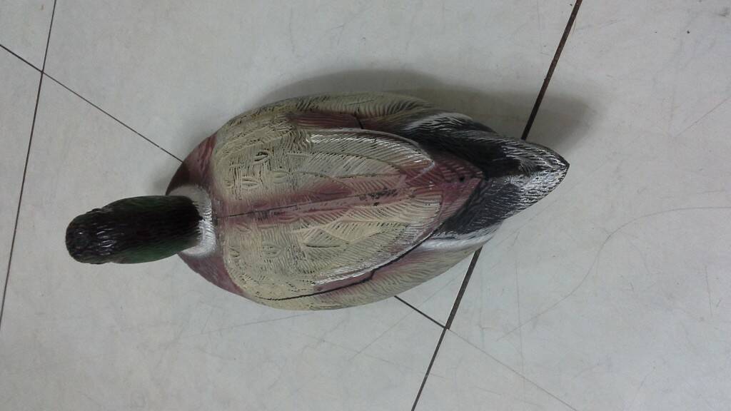 20140502_120719.jpg