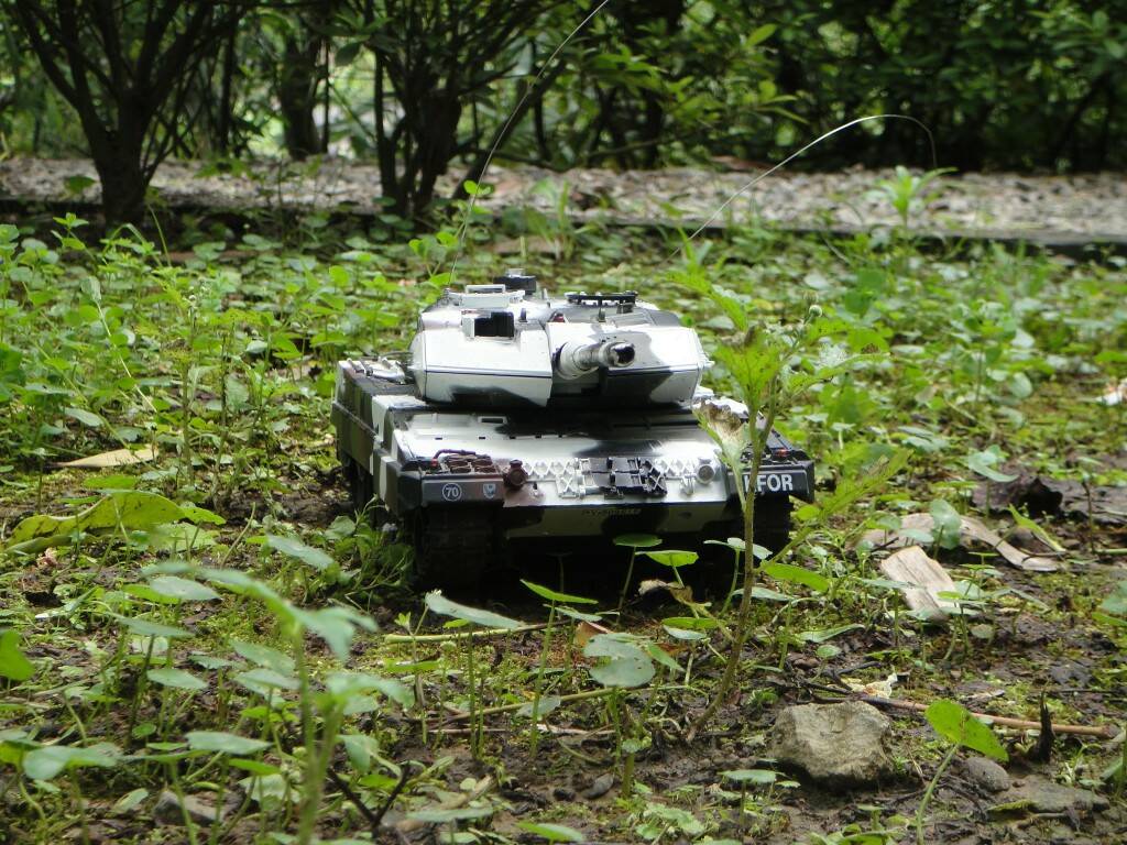 DSC04371.JPG