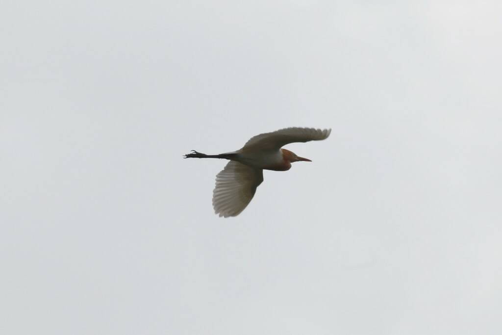 IMG_8933.jpg