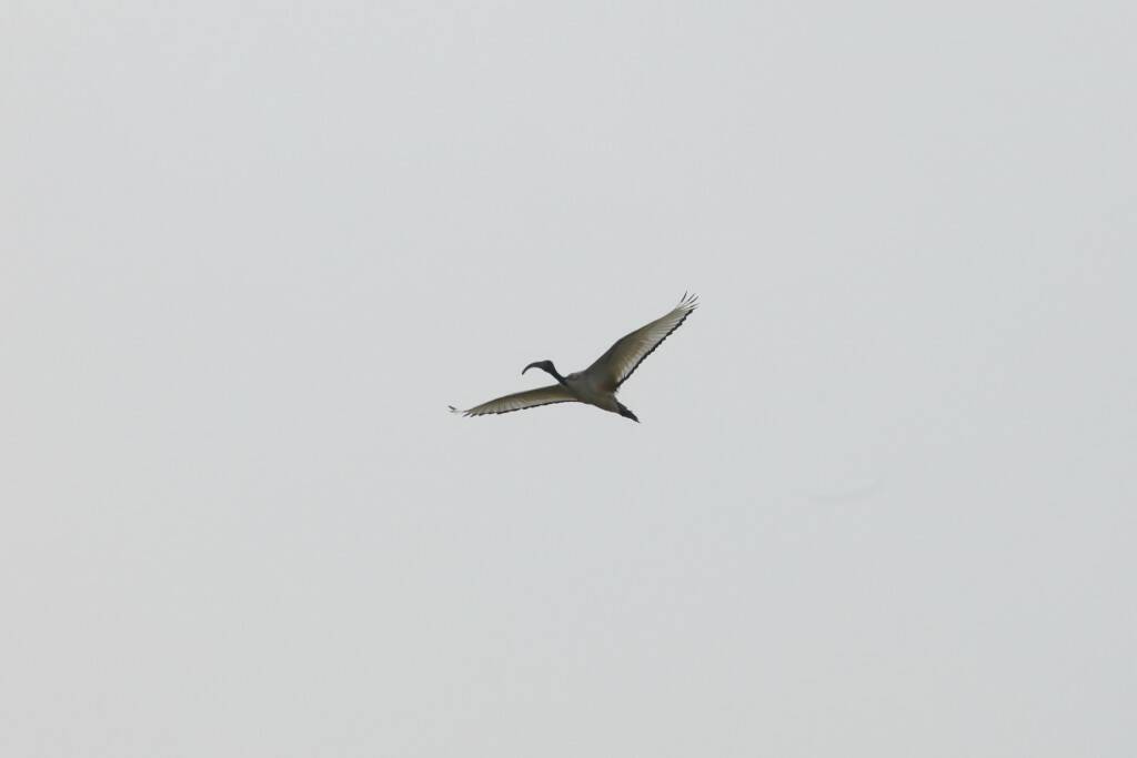 IMG_9080.jpg