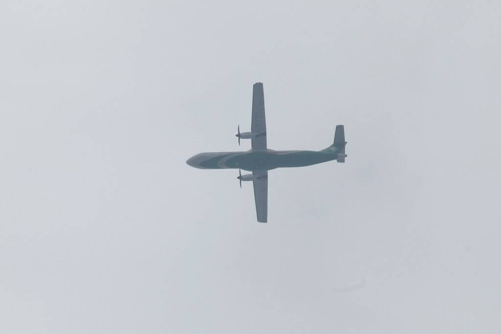 IMG_8971.jpg