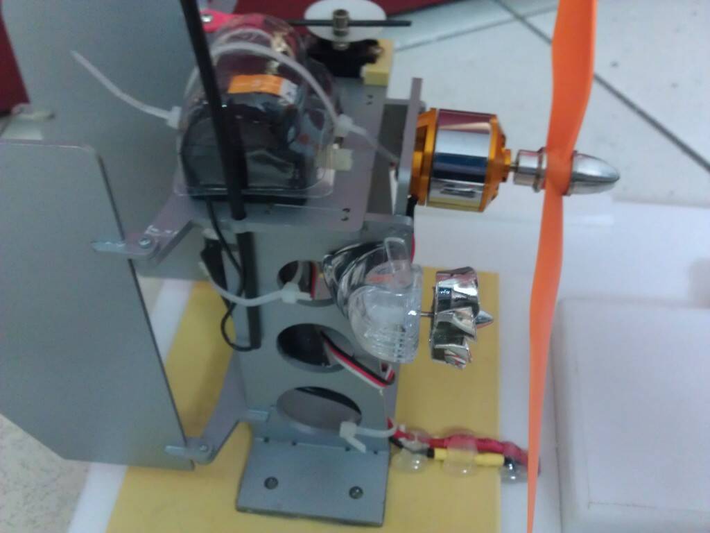 IMAG2506.jpg