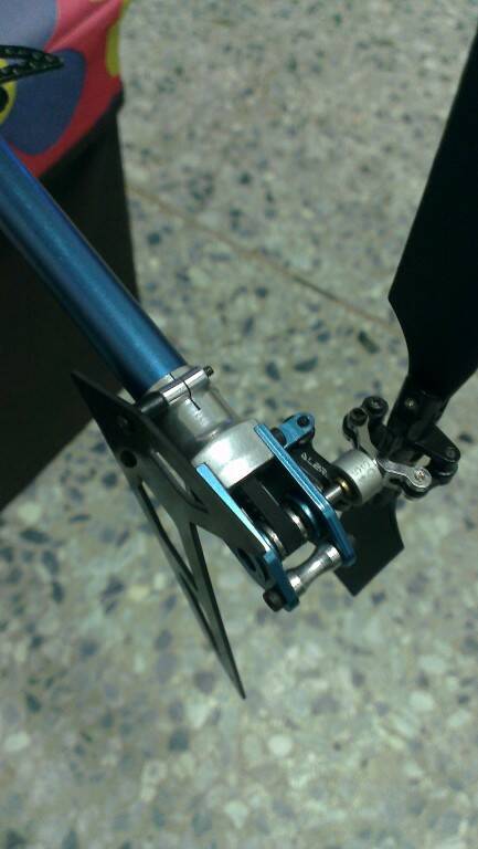 IMAG0597.jpg