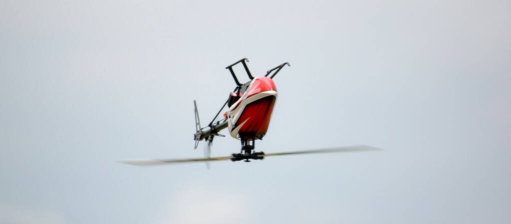 IMG_8518.jpg
