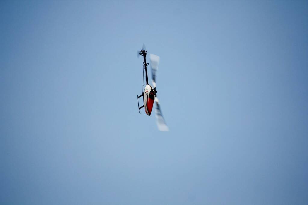 IMG_8521.jpg