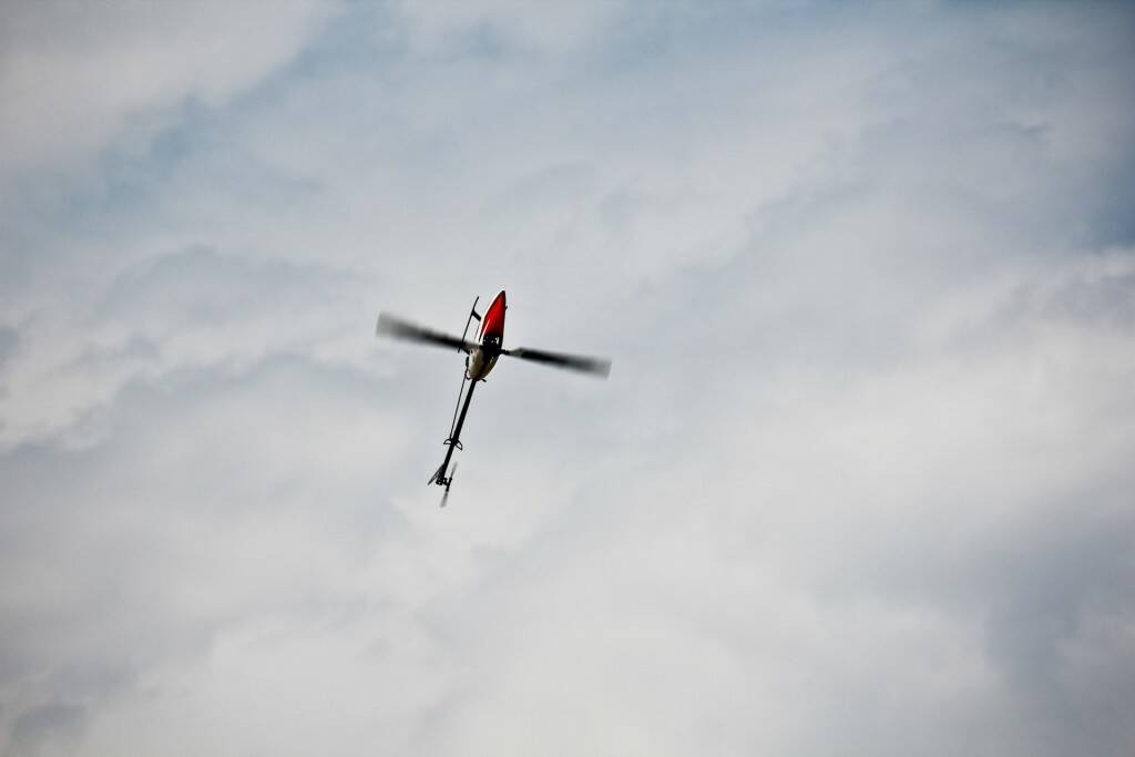 IMG_8552.jpg