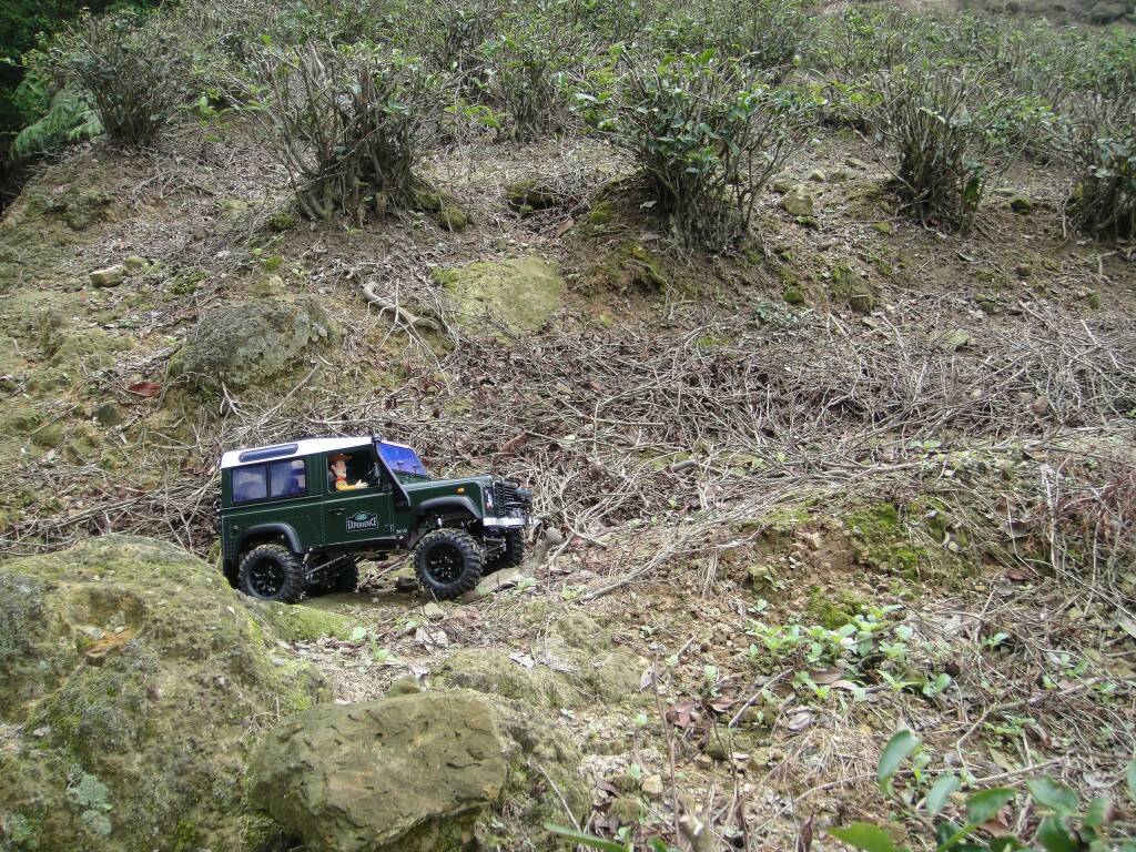 DSC04530.JPG