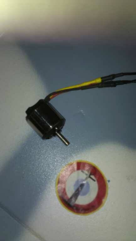 IMAG0264.jpg