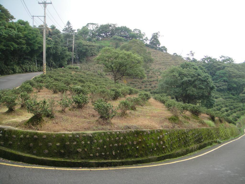 DSC04586.JPG