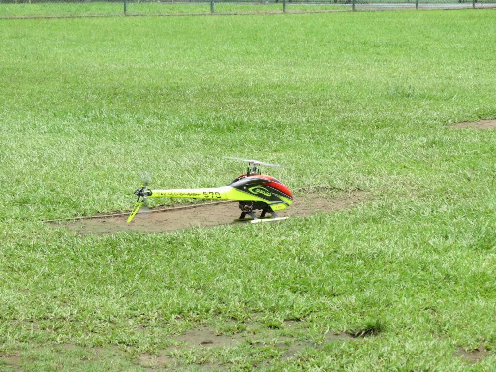 IMG_4447.JPG