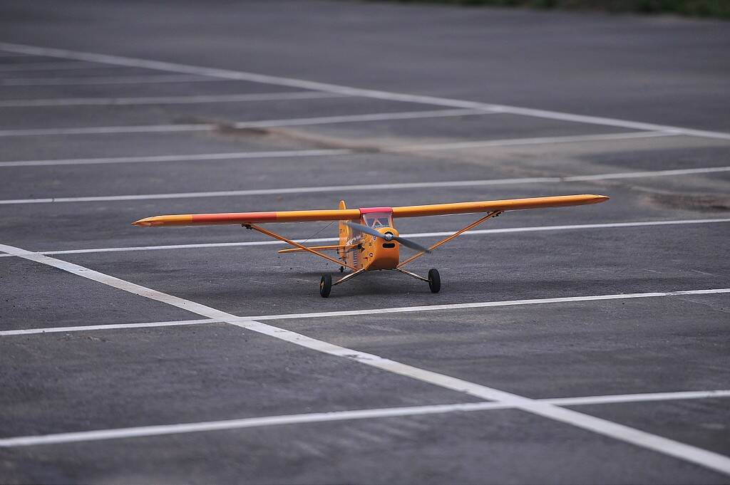 DSC_9042-1024.jpg
