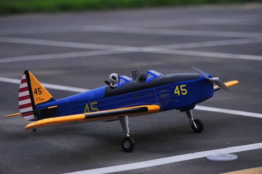 DSC_9067-1024.jpg