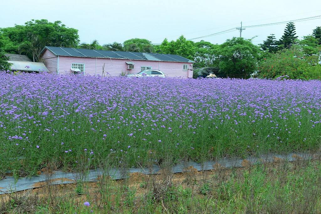 DSC_9220-1024.jpg