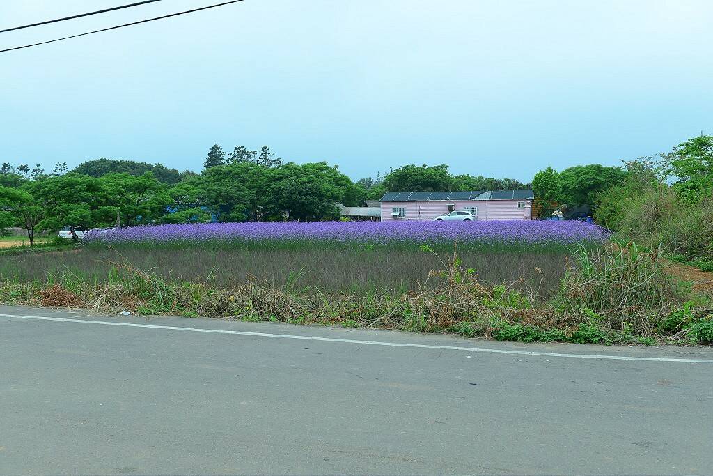 DSC_9246-1024.jpg