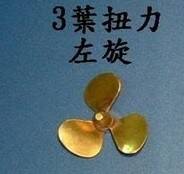 21308219686950_794.jpg