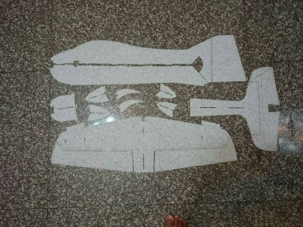 5003.jpg
