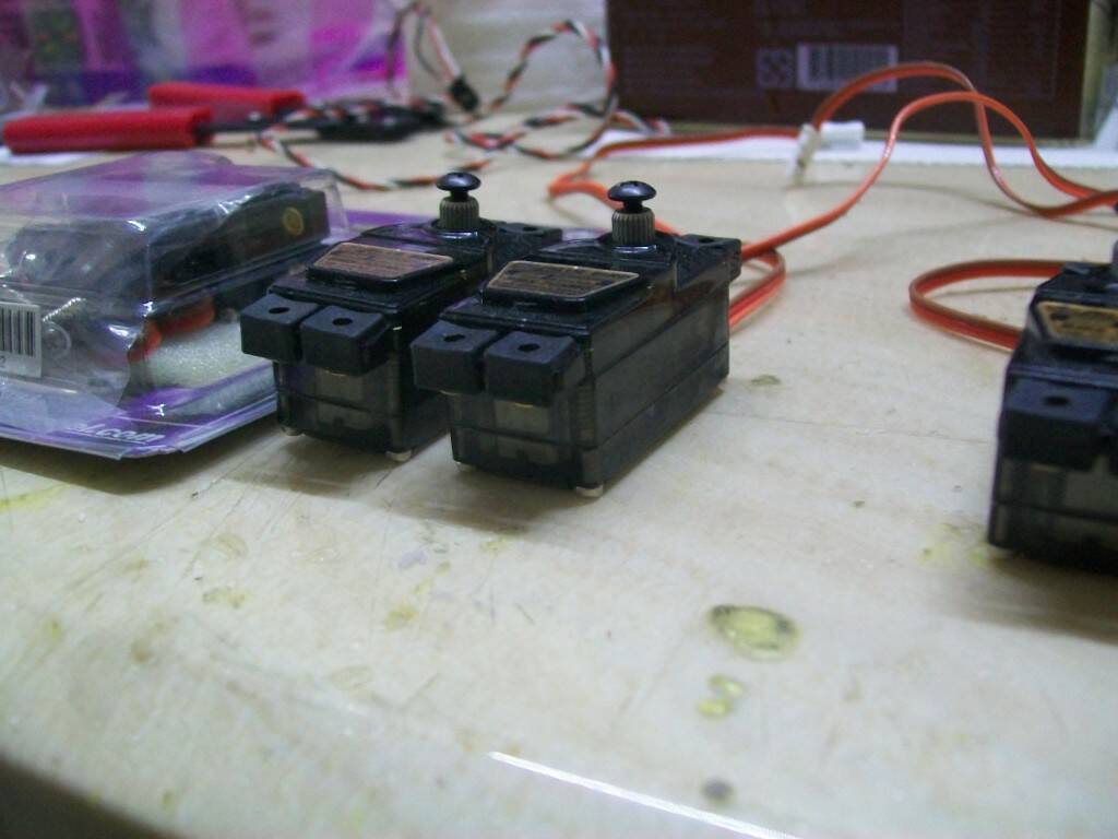 100_3336.JPG