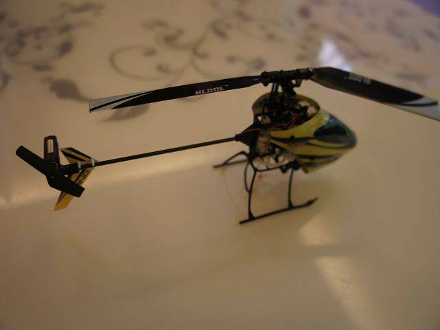 DSC01854(001).jpg