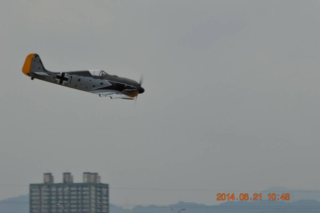 DSC_0169.JPG