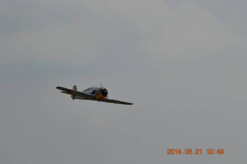 DSC_0174.JPG