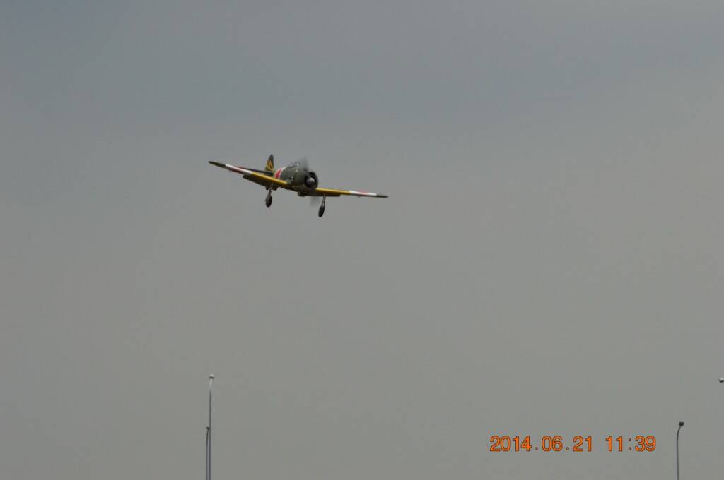 DSC_0221.JPG